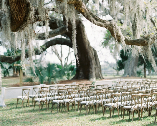 Say "Y'all Do" in Style: Top 5 Southern Wedding Destinations